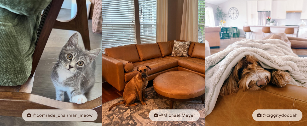 Visit Poly & Bark's Instagram
