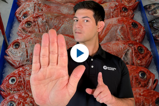 Watch the YouTube video on orange roughy