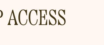 VIP ACCESS