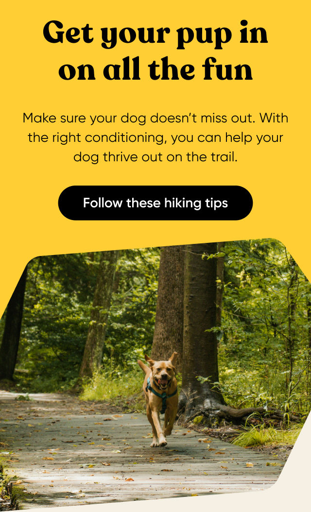Follow these hiking tips