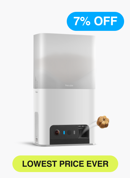Bites 2 Lite