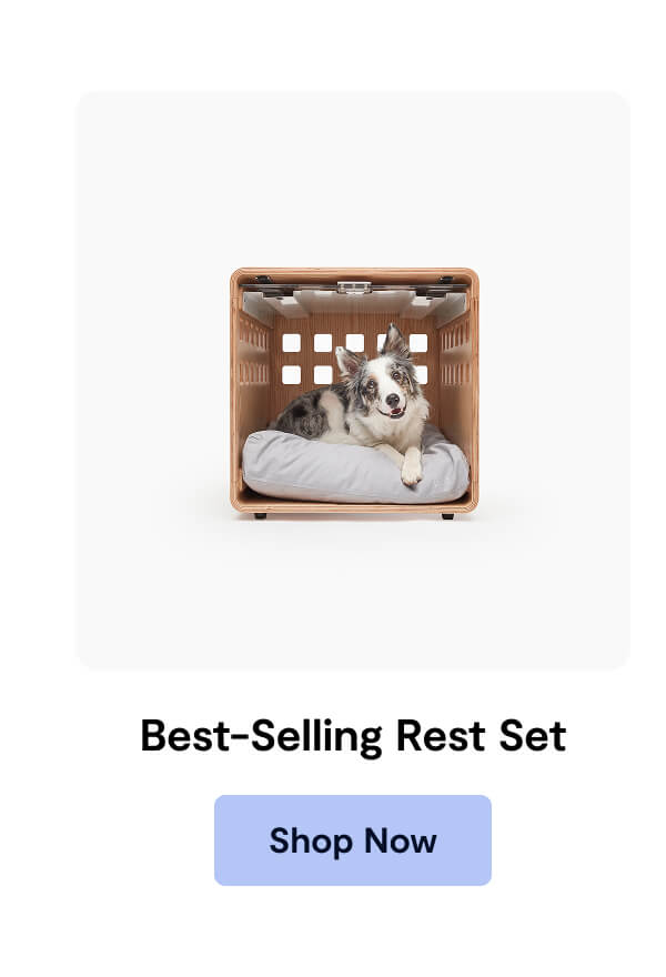 Best-Selling Rest Set