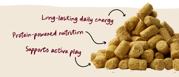 Long-lasting daily energy. Protein-powered nutrition. Supports active play.