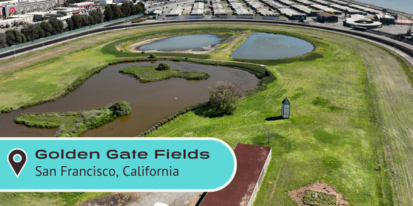 Golden Gate Fields. San Francisco, California.
