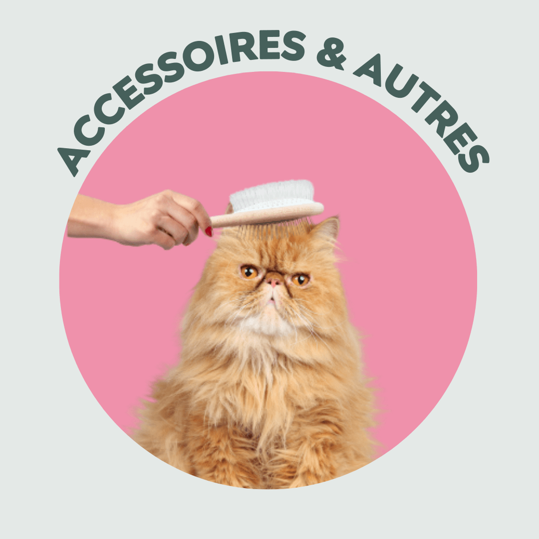 Accessoires