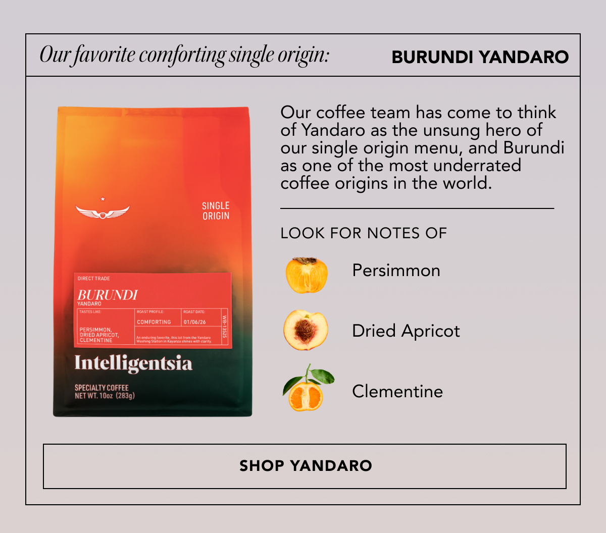 Our favorite comforting Single Origin: Burundi Yandaro | Our coffee team has come to think of Yandaro as the unsung hero of our single origin menu, and Burundi as one of the most underrated coffee origins in the world. Looks for notes of: persimmon, dried apricot, and clementine | SHOP YANDARO