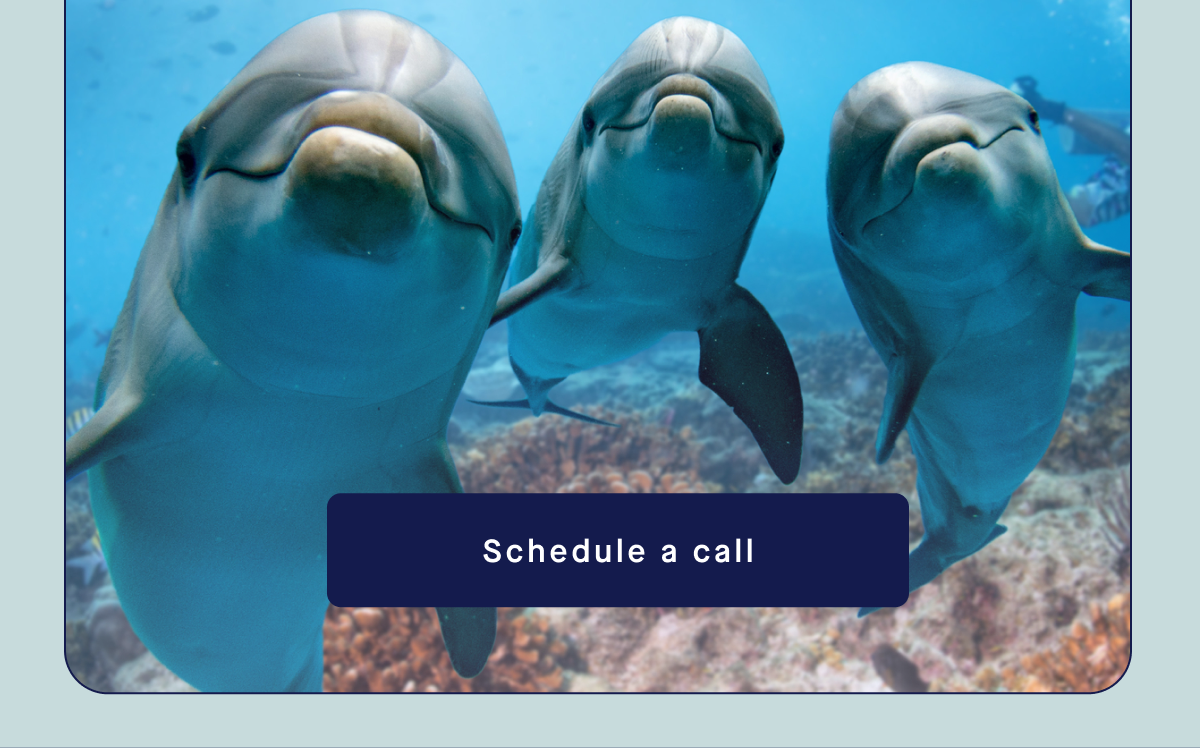 Schedule a call