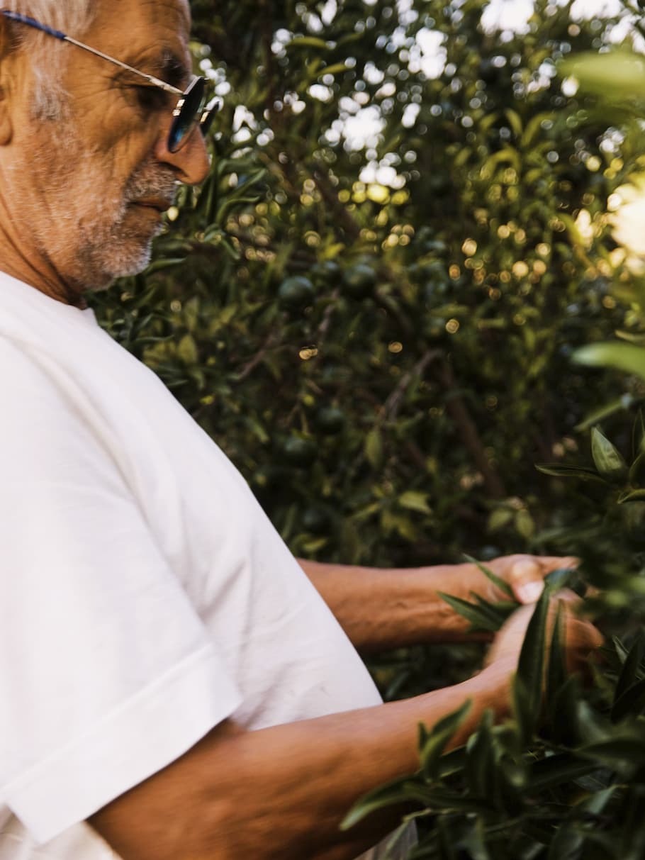 Carmelo, on his Sevillian farm.