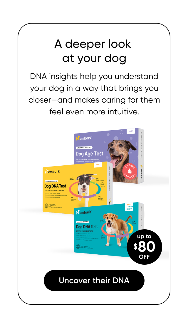 A deeper look at your dog. DNA insights help you understand your dog in a way that brings you closer—and makes caring for them feel even more intuitive. Uncover their DNA.