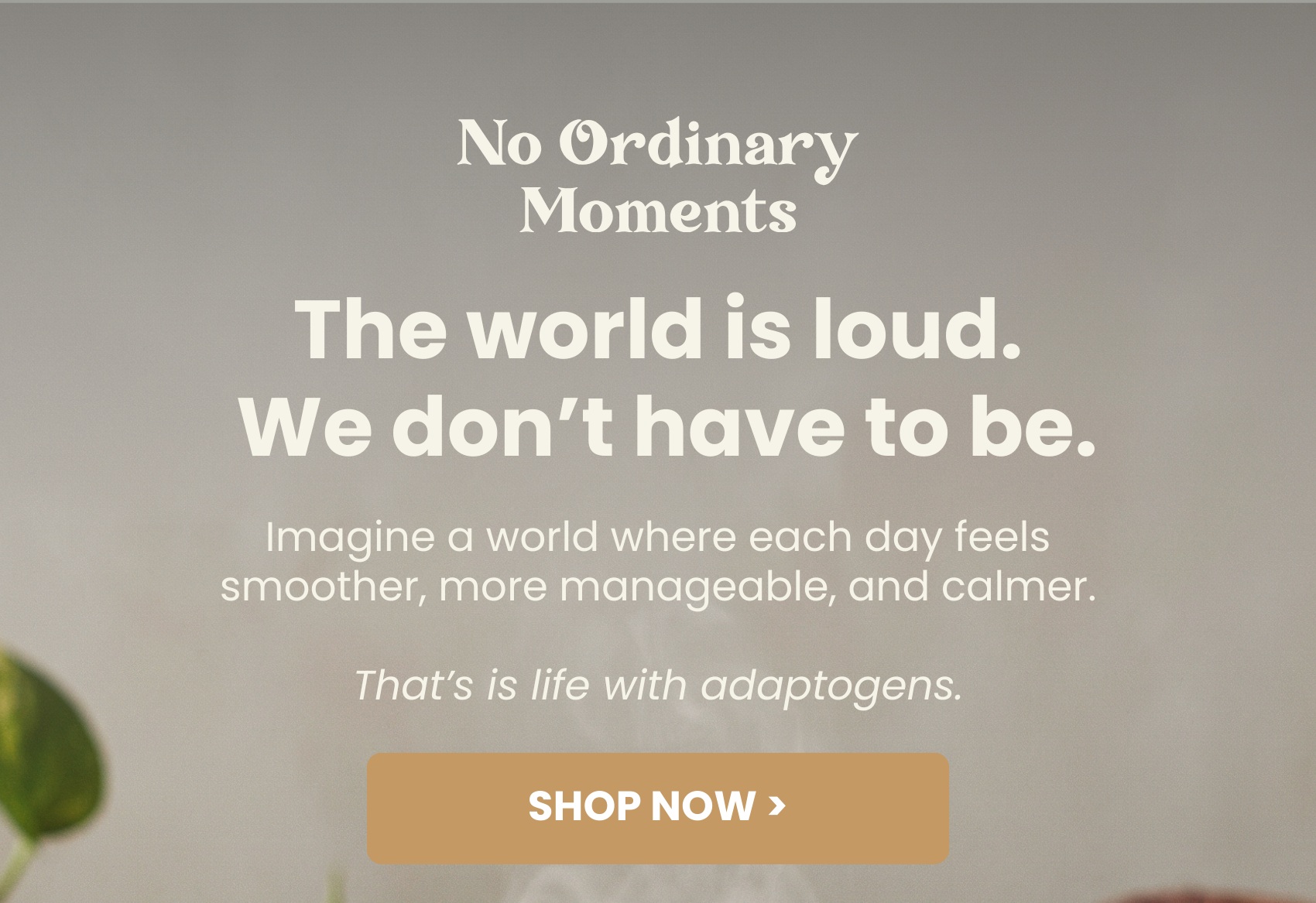 No Ordinary Moments