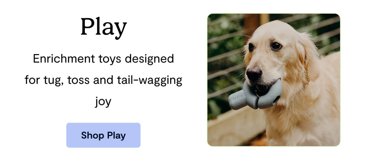 Play: Enrichment toys designed for tug, toss and tail-wagging joy