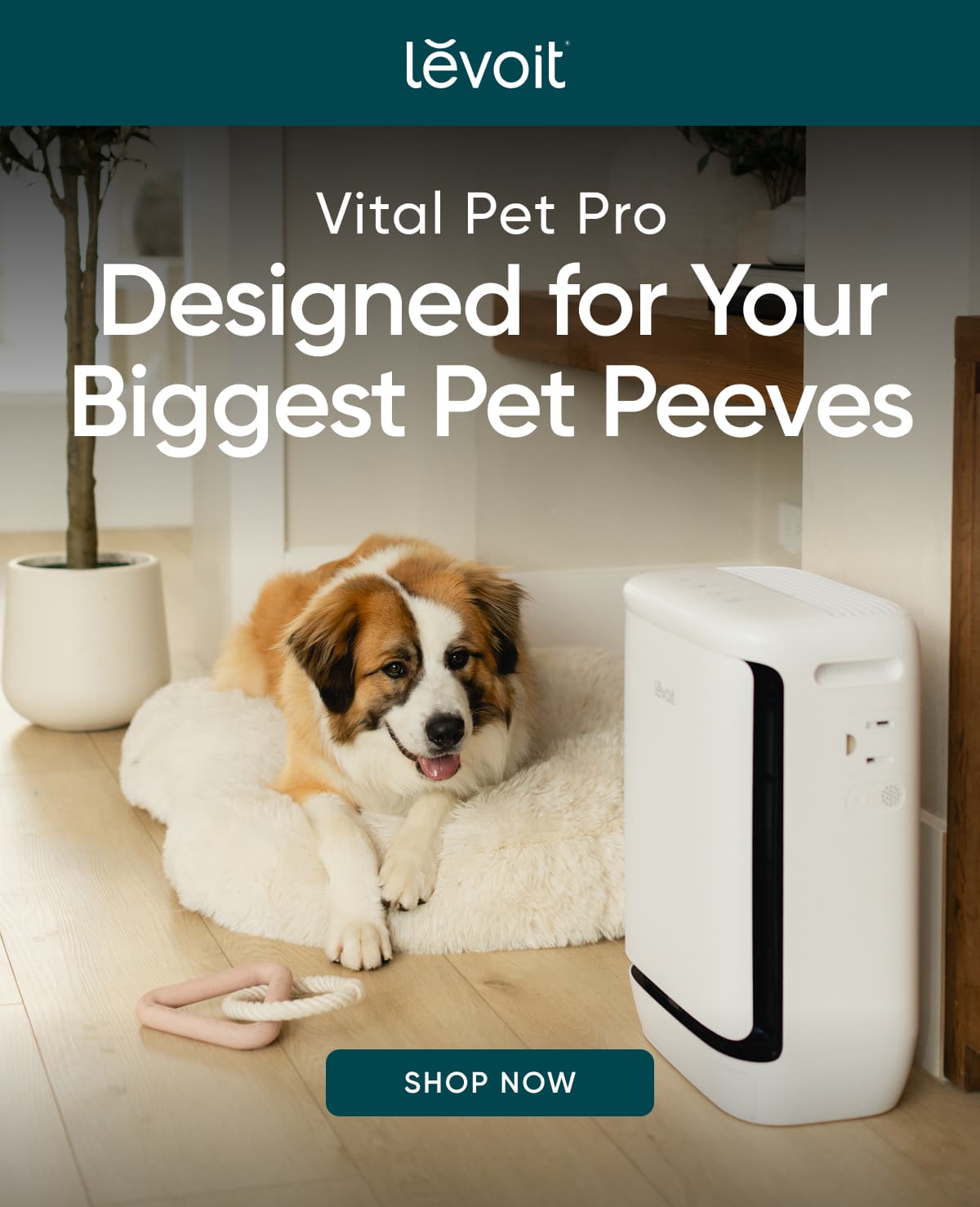 Vital Pet Pro Designed for Your Biggest Pet Peeves