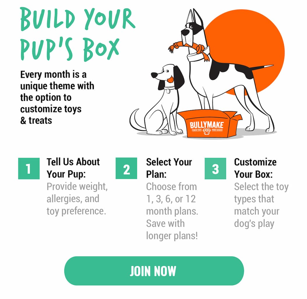 Bullymake Dog Toy Subscription Box