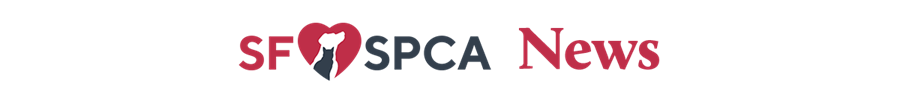 SF SPCA Logo