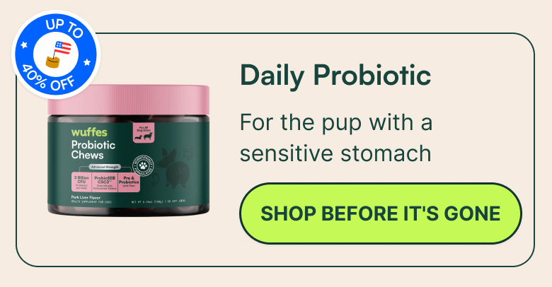 Daily Probiotic