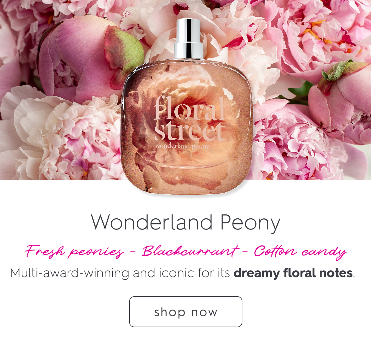 Wonderland Peony