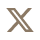 X (Twitter)