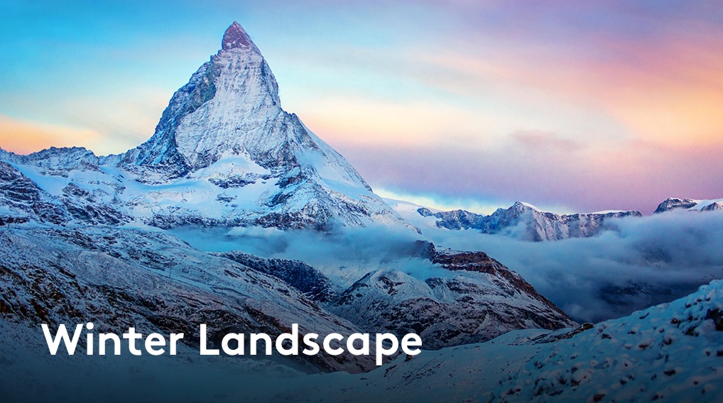 Winter Landscape