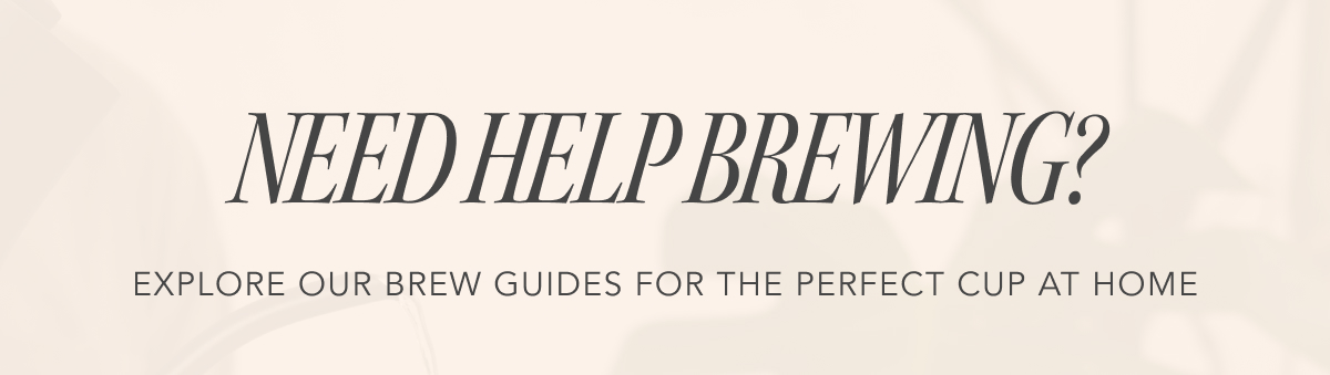 Need Help Brewing? Explore our Brew Guides for the perfect cup at home