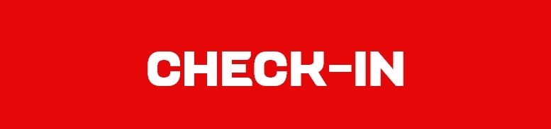 Check-In Luggage