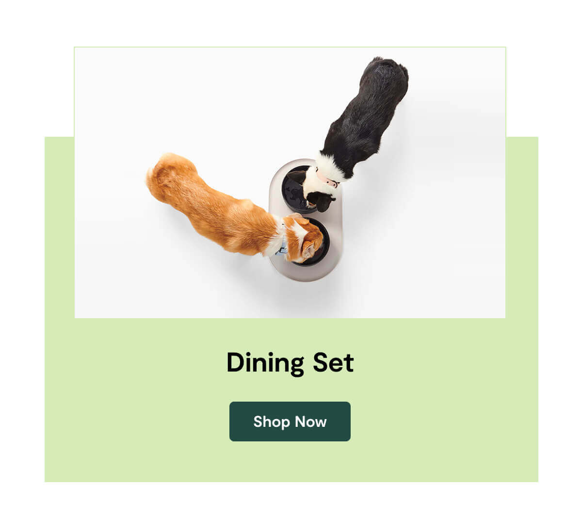 Dining Set