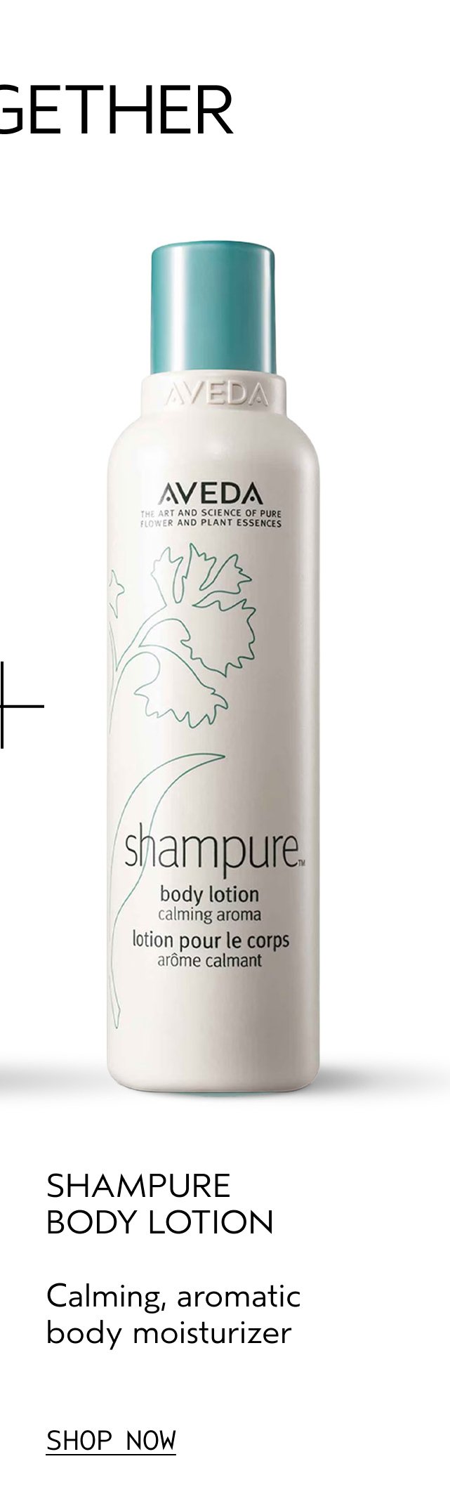 SHAMPURE BODY LOTION Calming, aromatic body moisturizer SHOP NOW