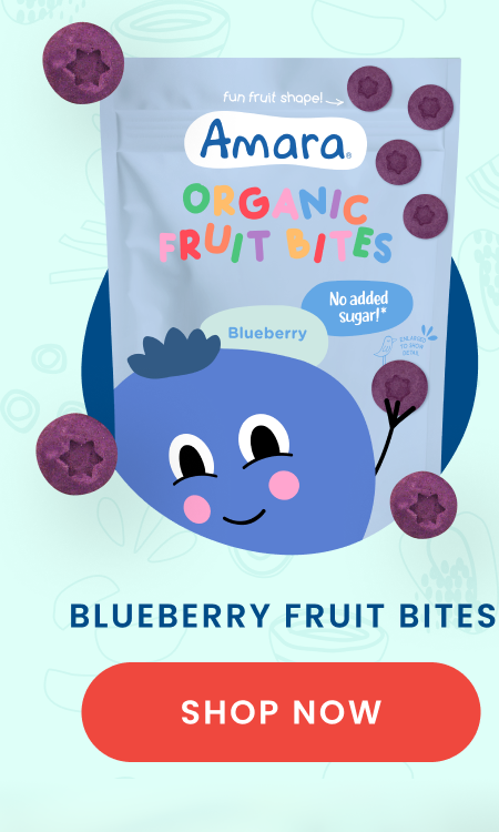 Blueberry Fruit Bites