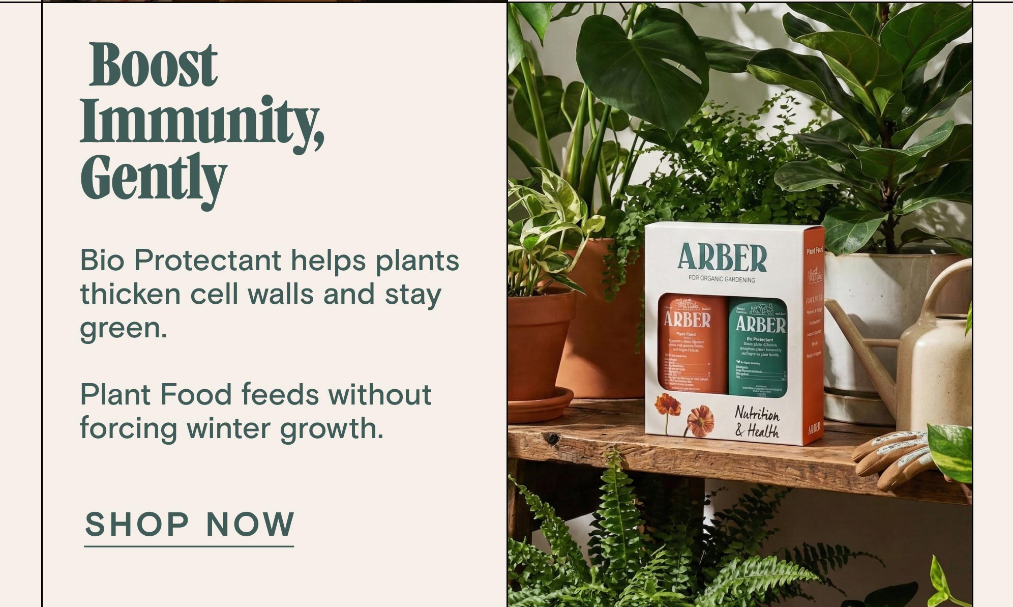  Boost Immunity, Gently &nbsp; Bio Protectant helps plants thicken cell walls and stay green.  Plant Food feeds without forcing winter growth.