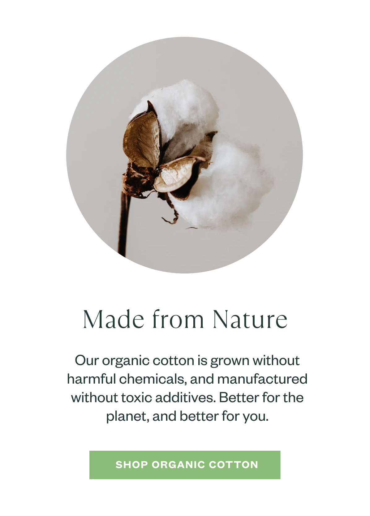 cotton plant explaning how subset organic cotton is better for the planet
