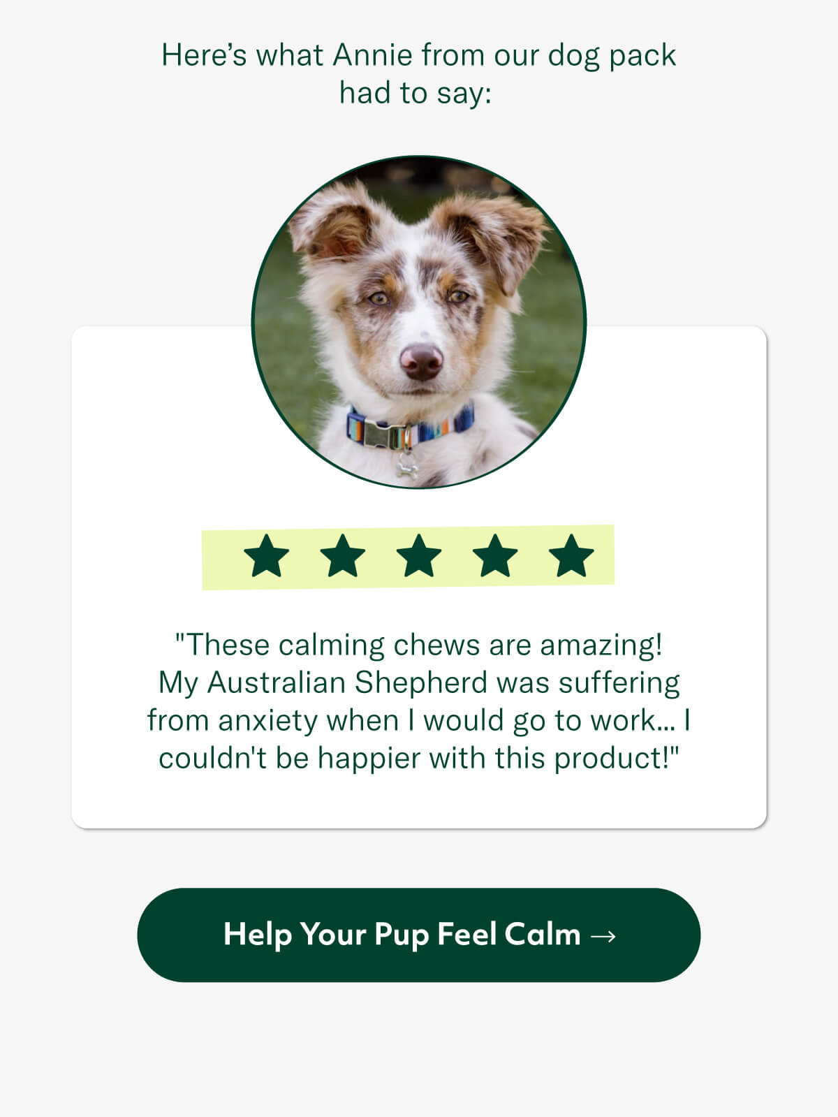 Help Your Pup Feel Calm →