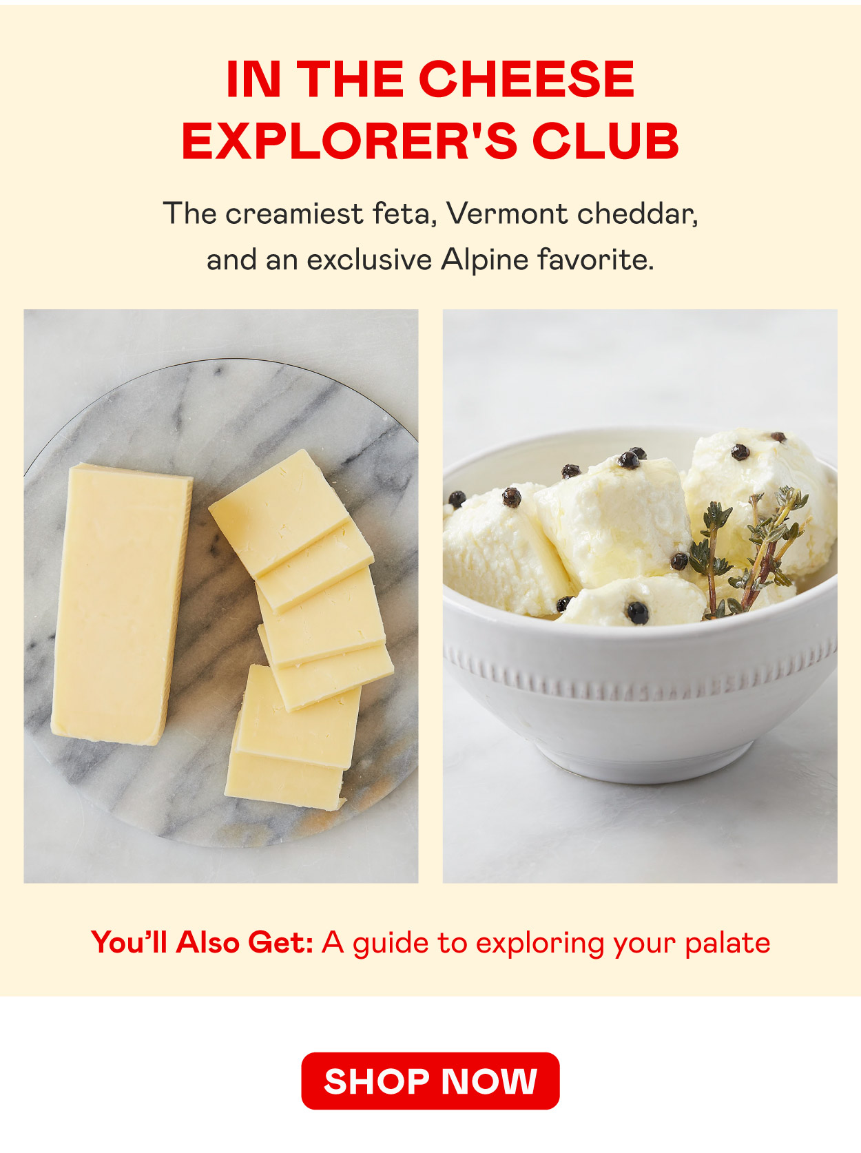 Cheese Explorer's Club