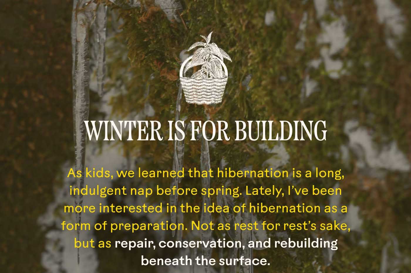 Winter Is for Building  As kids, we learned that hibernation is a long, indulgent nap before spring. Lately, I’ve been more interested in the idea of hibernation as a form of preparation. Not as rest for rest’s sake, but as repair, conservation, and rebuilding beneath the surface.