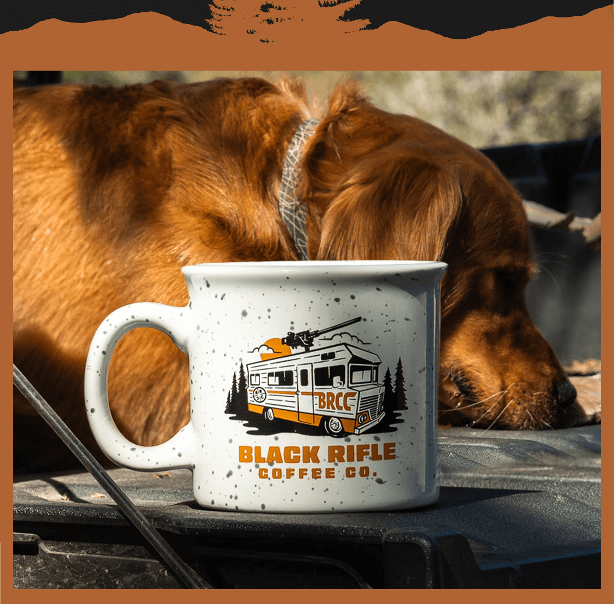 Shop our new spring drop drinkware today!