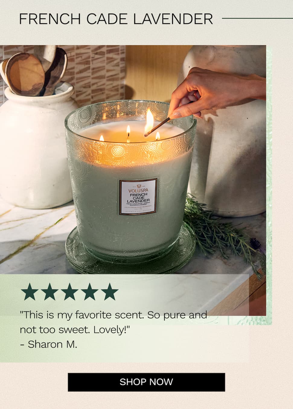 French Cade Lavender. Shop now.