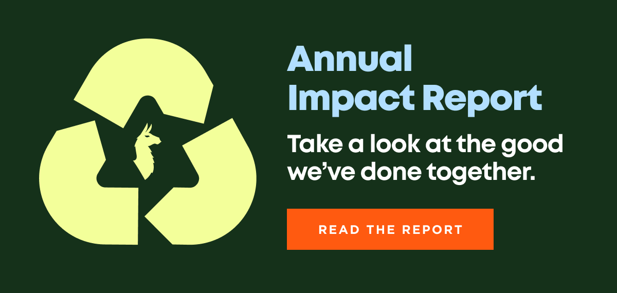 Read the Report