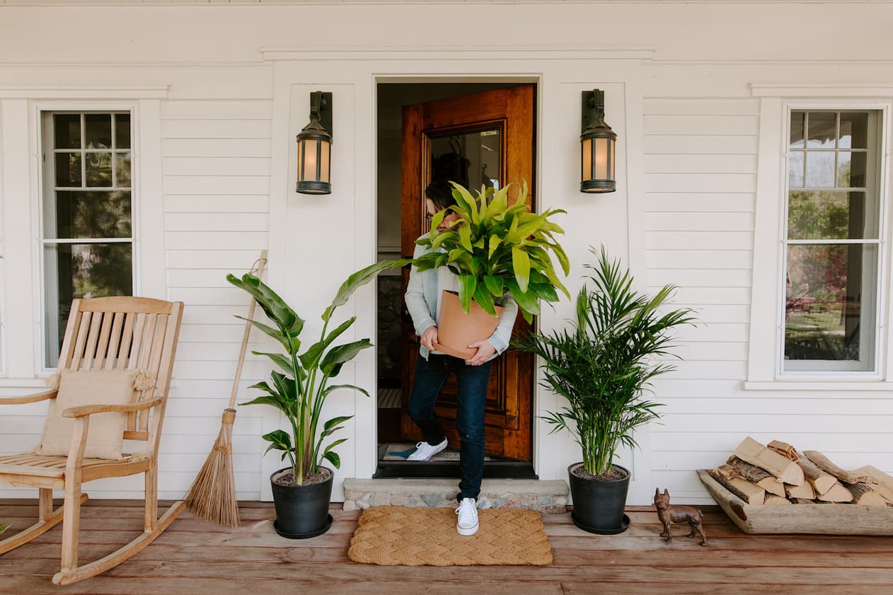 MAN CARRYING PLANT OUTSIDE