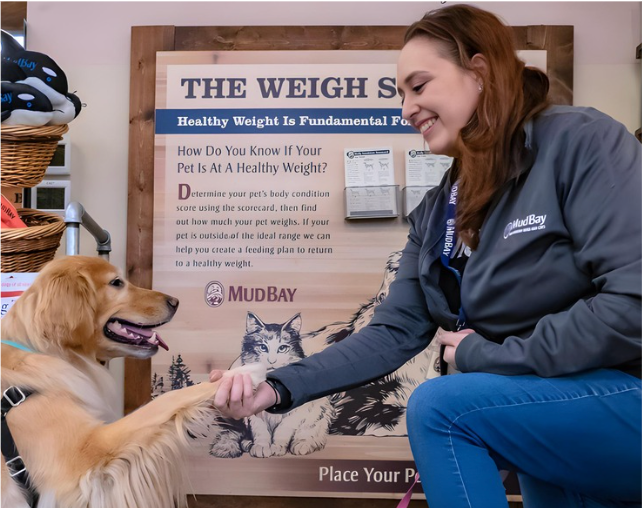 Mud Bay staff shaking hands with a dog in front of the Mud Bay Weigh Station pet scale inside a Mud Bay location.