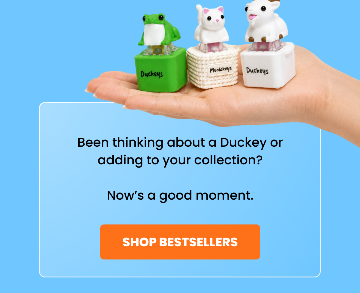 Been thinking about a Duckey or adding to your collection?