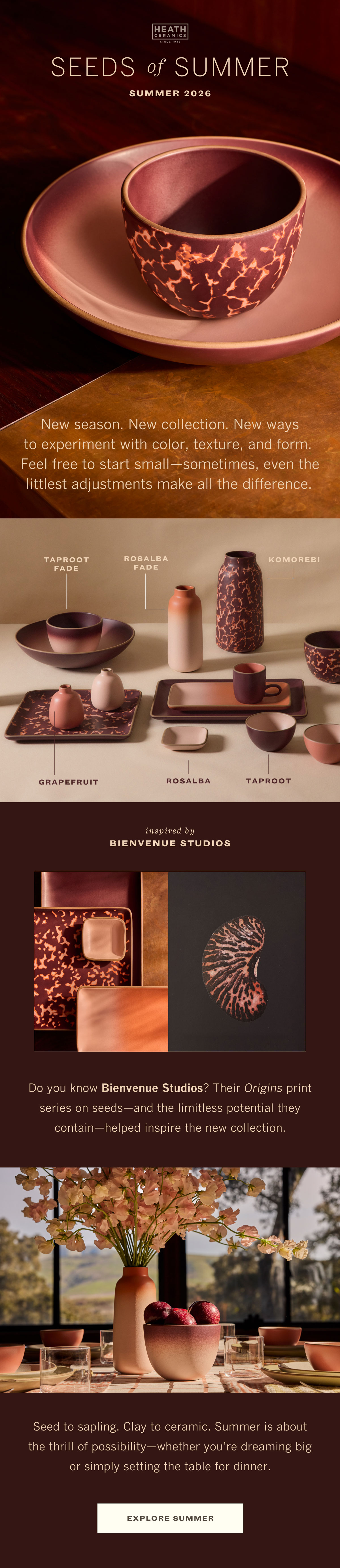 Summer's collection is here!