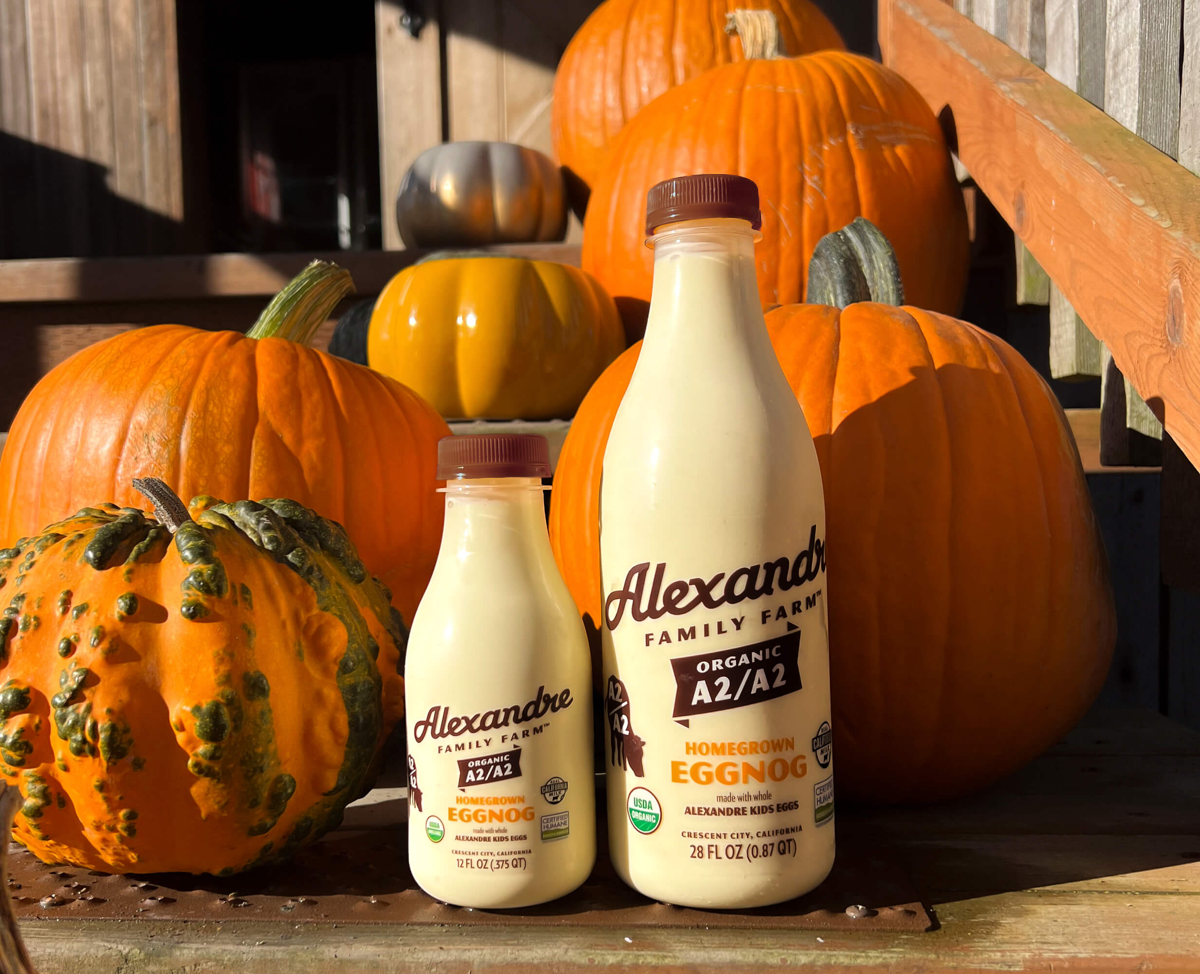 Back-to-School Nutrition with Alexandre Family Farm