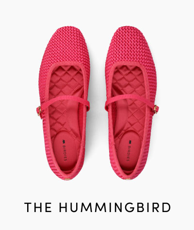 The Hummingbird