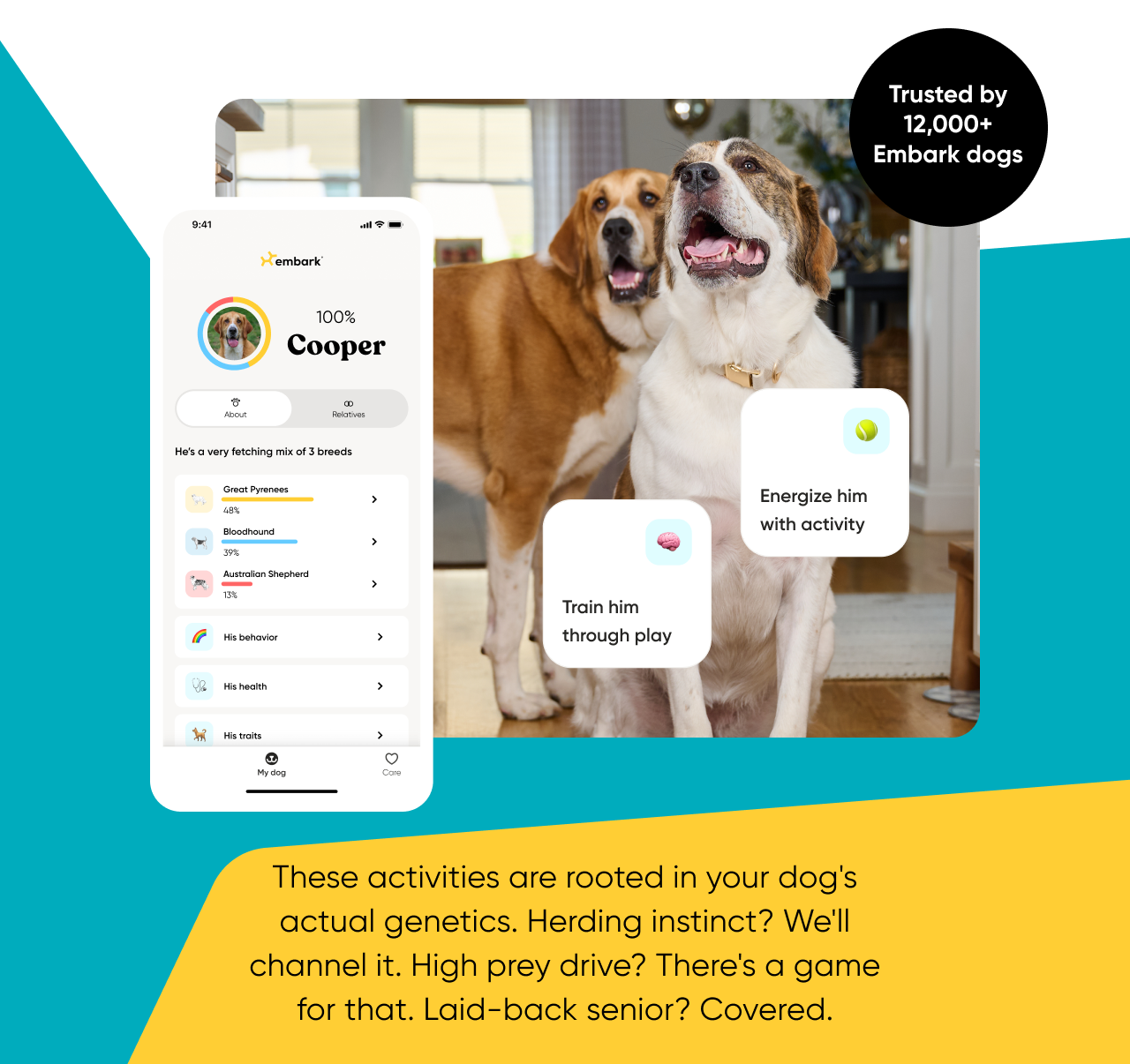 These activities are rooted in your dog's actual genetics. Herding instinct? We'll channel it. High prey drive? There's a game for that. Laid-back senior? Covered.