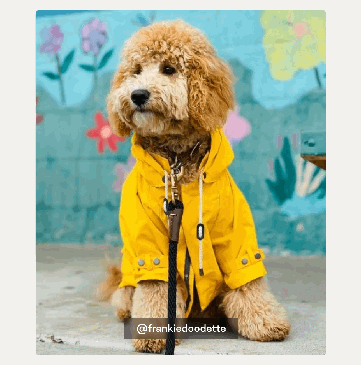 Wherever spring takes you, bring maxbone