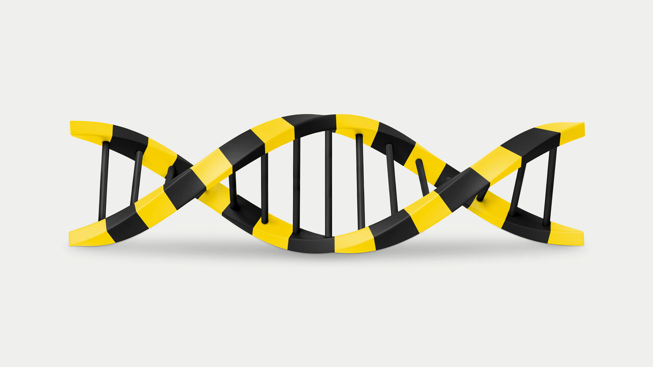 This illustration shows a DNA double helix made of black and yellow caution-stripe patterns, symbolizing genetic research with potential risks or hazards. The design suggests a warning or critical approach to genome research.