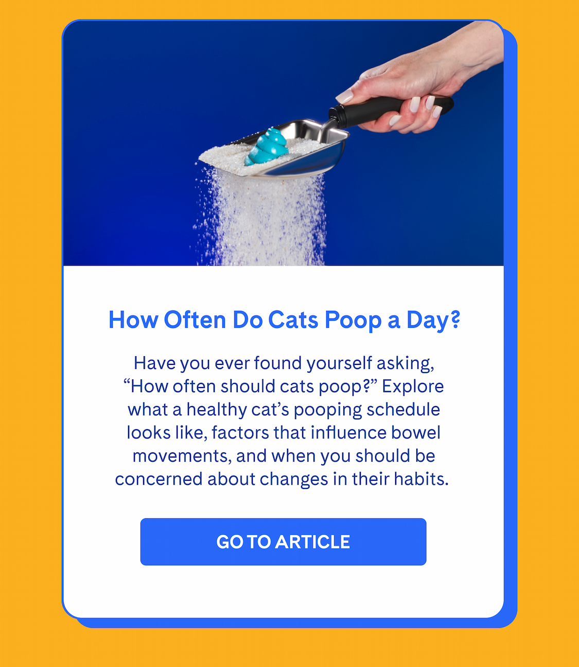 How Often Do Cats Poop a Day?