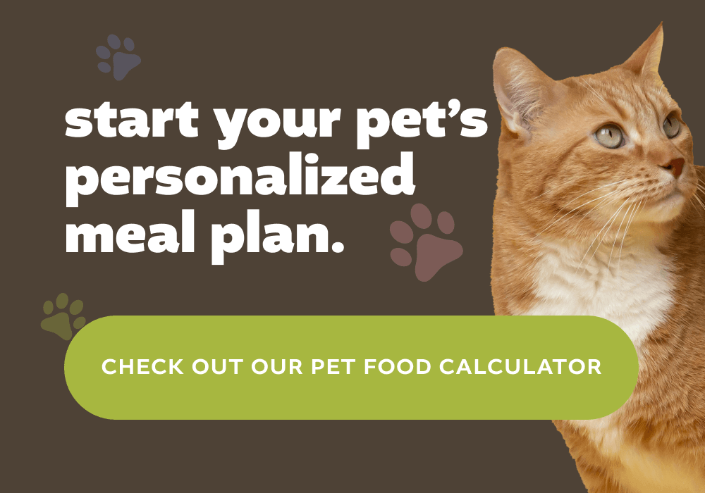 [CHECK OUT OUR PET FOOD CALCULATOR]