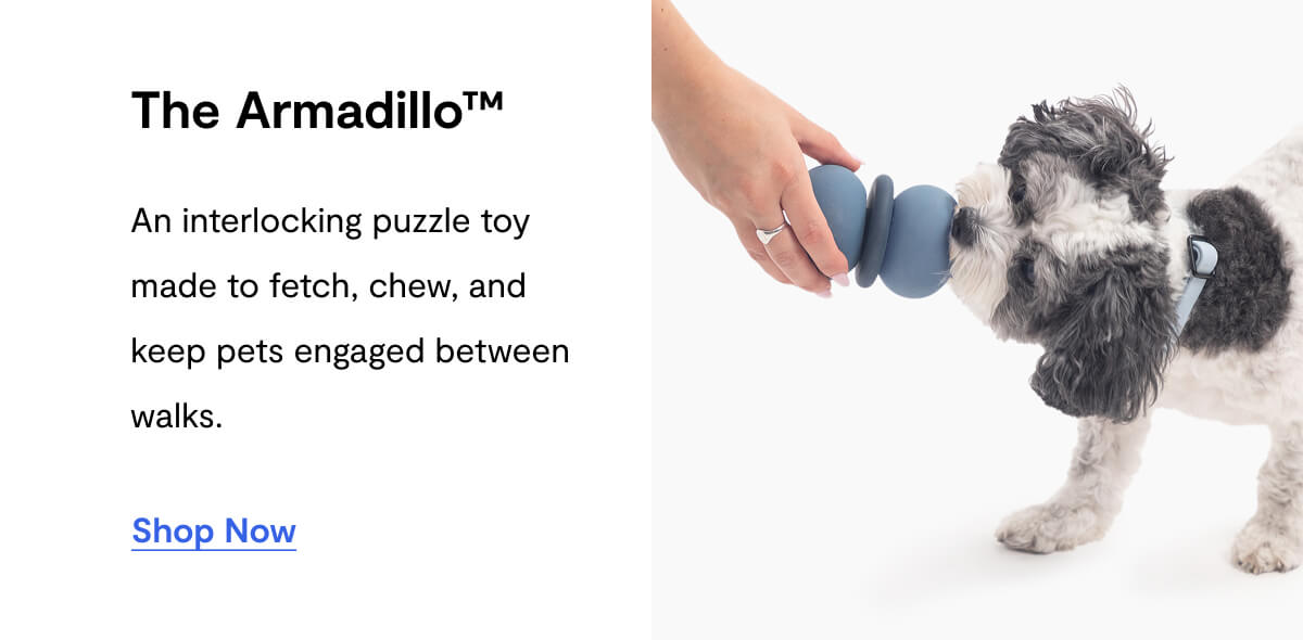 The Armadillo™