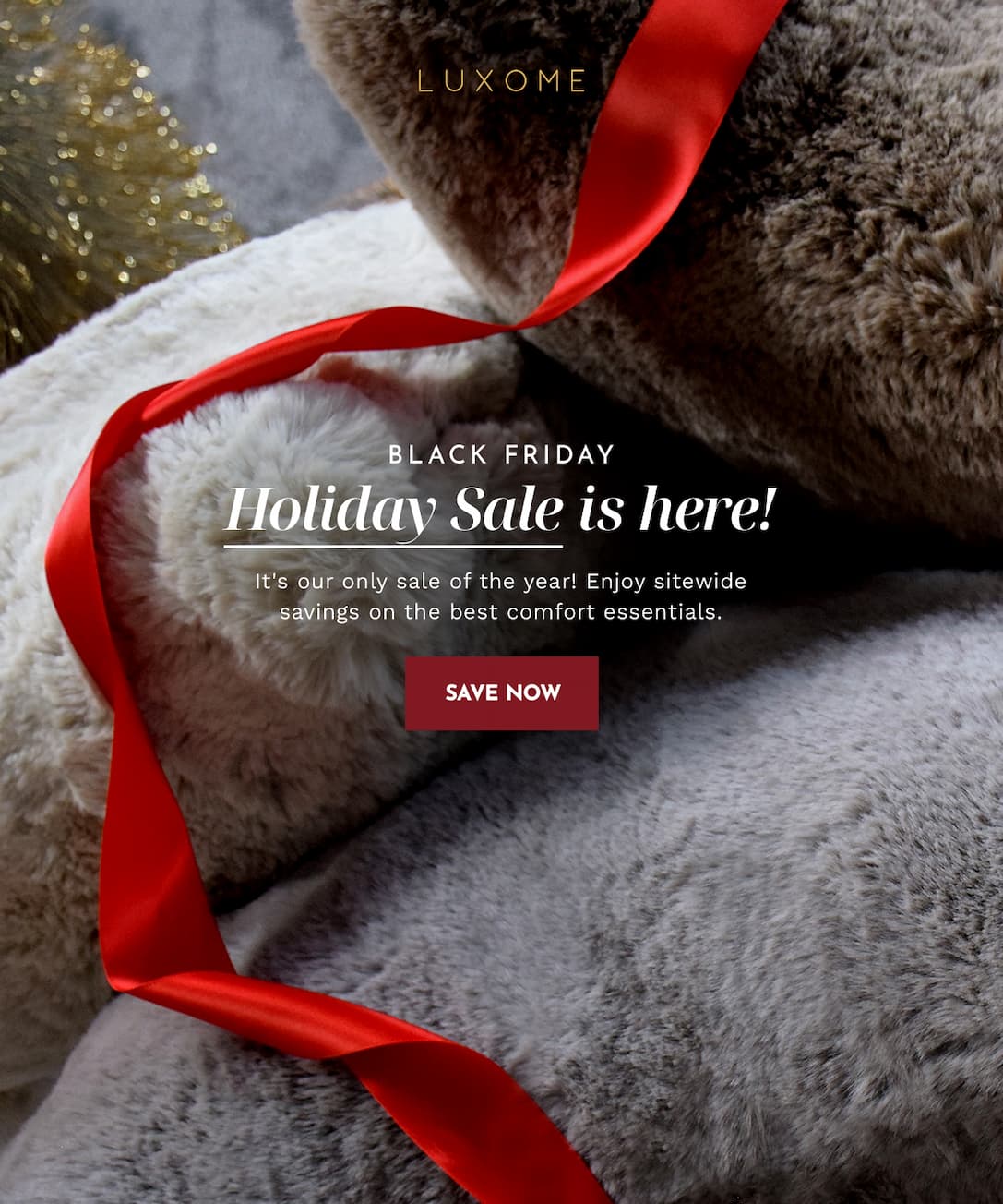 Black Friday Holiday Sale is here! | SAVE NOW
