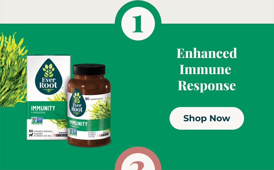 Immunity Image and Shop Now CTA 1
