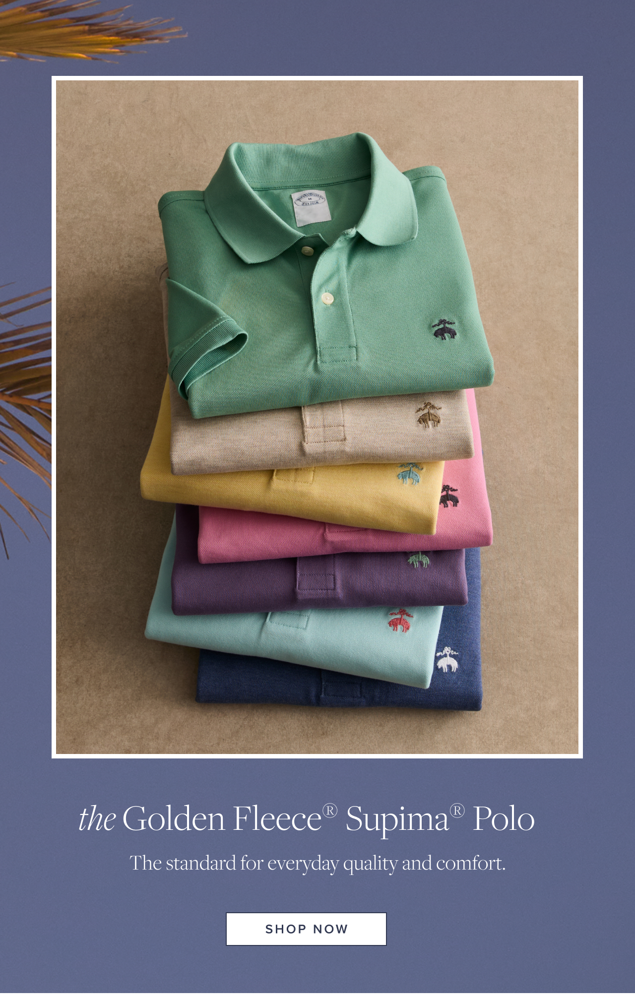 The Golden Fleece Supima Polo Shop Now